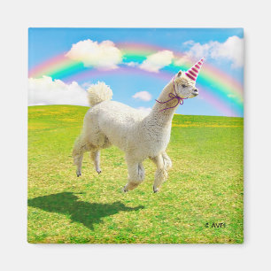 Imã Alpaca Unicorn Sob O Rainbow Sky
