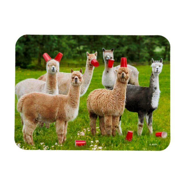 Ímã Alpacas com Copas Vermelhas (Horizontal)