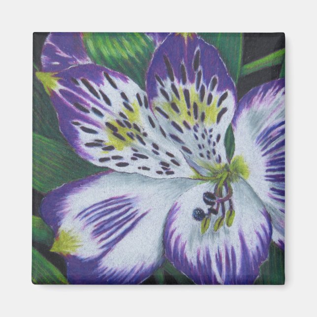 Imã Alstroemeria (Frente)