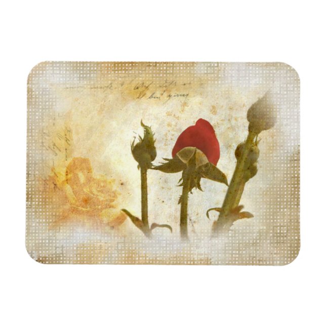 Ímã Alte Rose (Horizontal)