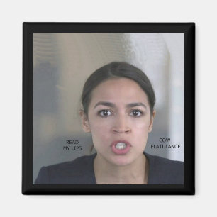 IMÃ ALTERAÇÕES CLIMÁTICAS