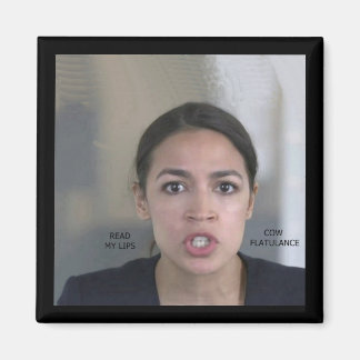 IMÃ ALTERAÇÕES CLIMÁTICAS