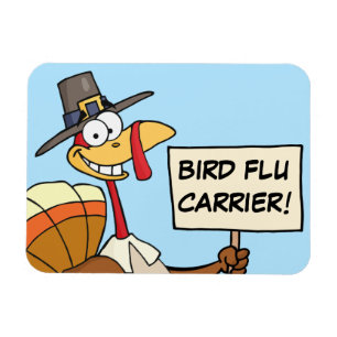 Ímã Alternativos à Turquia para o Janta de Ação de 