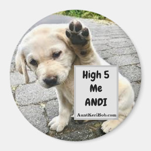 Imã Alto 5 Me Andi Puppy