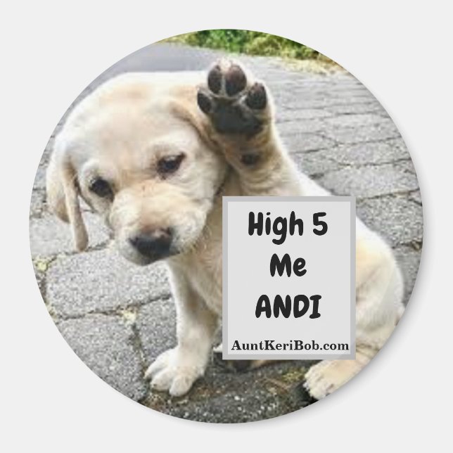 Imã Alto 5 Me Andi Puppy (Frente)