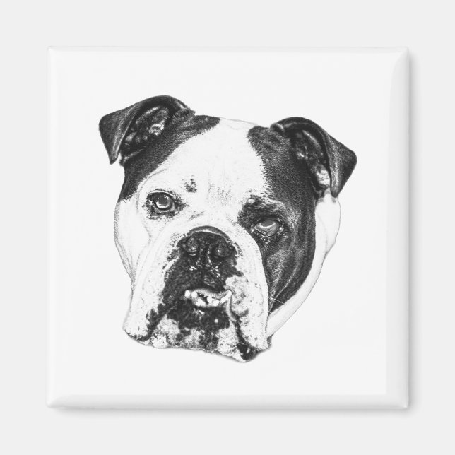 Imã Always Returning Home (Frente)