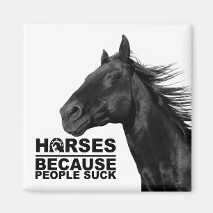 Imã Amante de Cavalo Branco Fazenda Equestre Ocidental