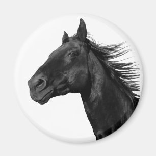 Imã Amante do Cavalo Branco Fazenda Eqüestre Pônei Mag