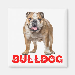 Imã Amante engraçado do Bulldog, cachorro Bully engraç