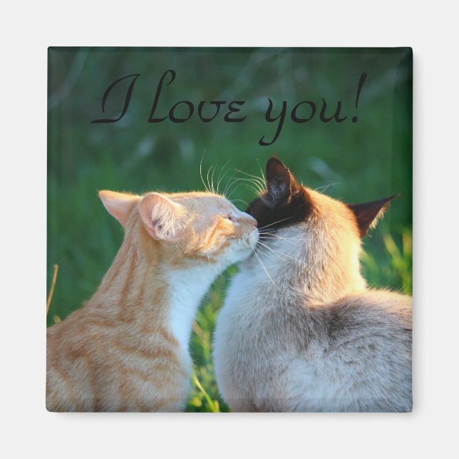 Imã Amantes de gatos beijam (Frente)