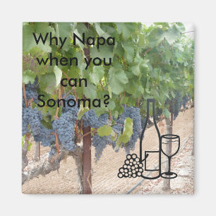 Imã Amantes de vinho do vale de Sonoma