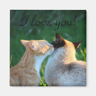 Imã Amantes do gato do beijo do gato