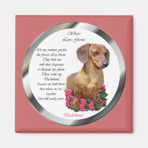 Imã Amantes Doxie do Dachshund