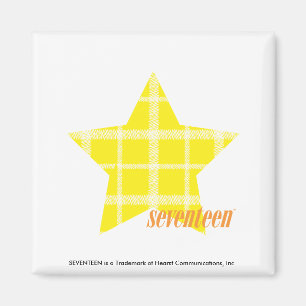 Imã Amarelo 4 da xadrez