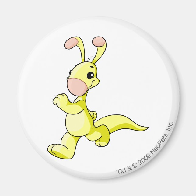 Imã Amarelo Blumaro (Frente)