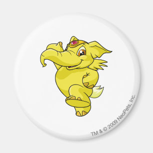 Imã Amarelo de Elephante