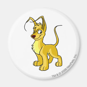 Imã Amarelo de Gelert