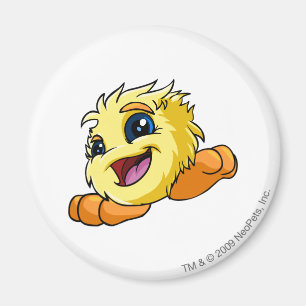 Imã Amarelo de JubJub
