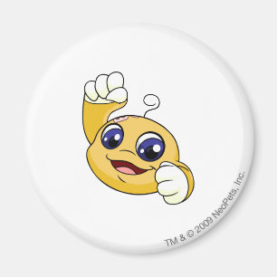 Imã Amarelo de Kiko