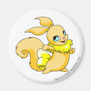 Imã Amarelo de Usul