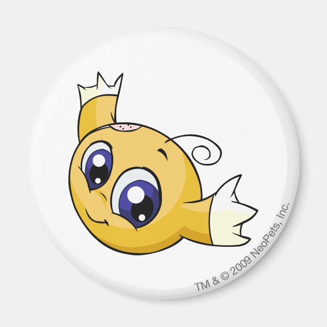 Imã Amarelo Kiko (Frente)