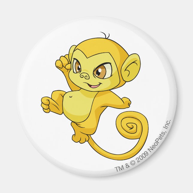 Imã Amarelo-marinho (Frente)