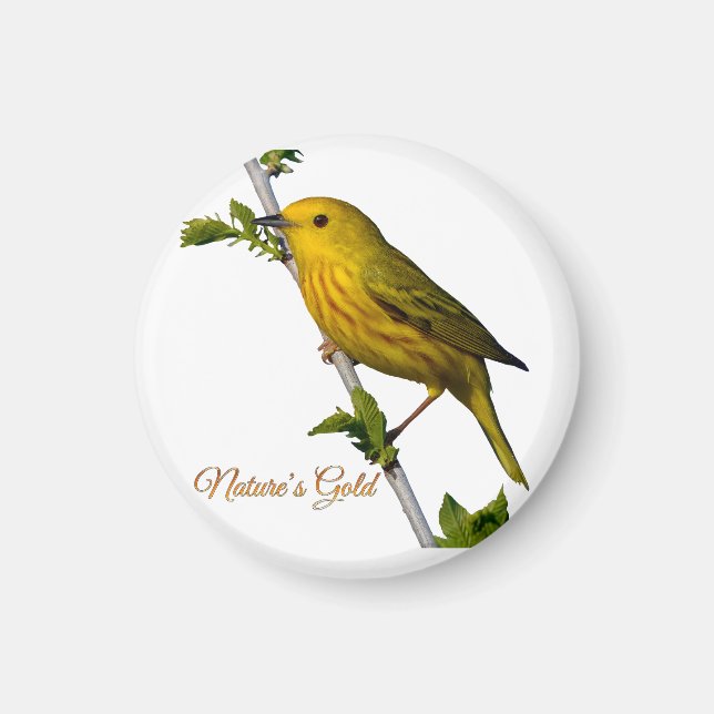 Imã Amarelo Warbler "Dourado da Natureza" Magnet (Frente)