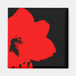 Imã amarilho vermelho