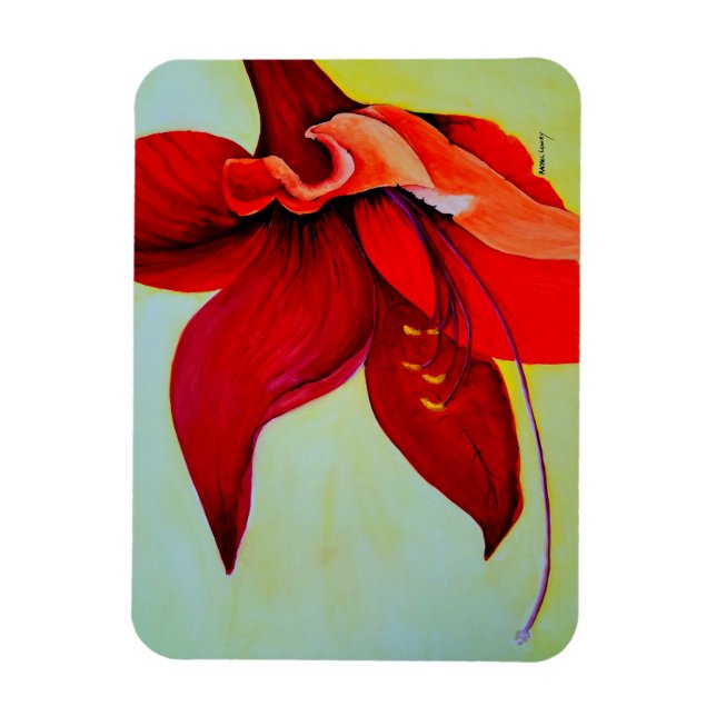 Ímã Amaryllis Blossom Magnet (Vertical)