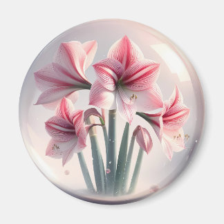 Imã Amaryllis Flores brancas cor-de-rosa