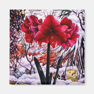Imã Amaryllis pela janela da neve