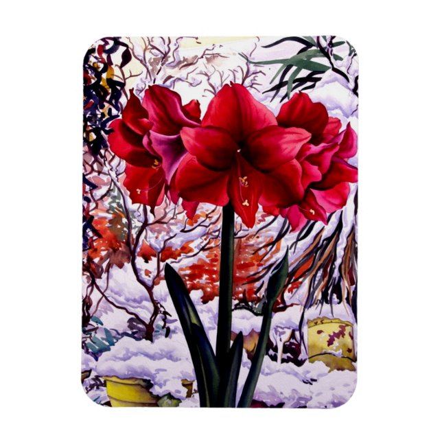 Ímã Amaryllis por janela de neve (Vertical)