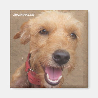 Imã Amazon Humane Society Magnet: Série Precioso de Ca