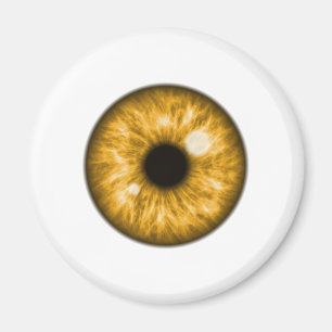 Imã Amber Eye Ball Engraçado