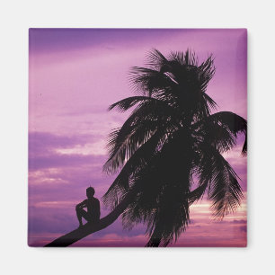 Imã Ambergris Caye, Belize, América Central.