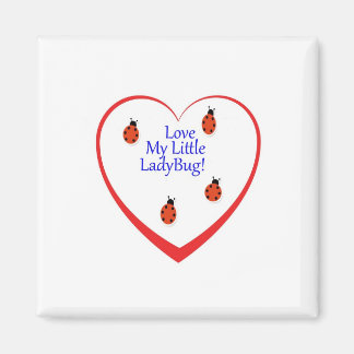 Imã Ambers Lady Bug Magnet