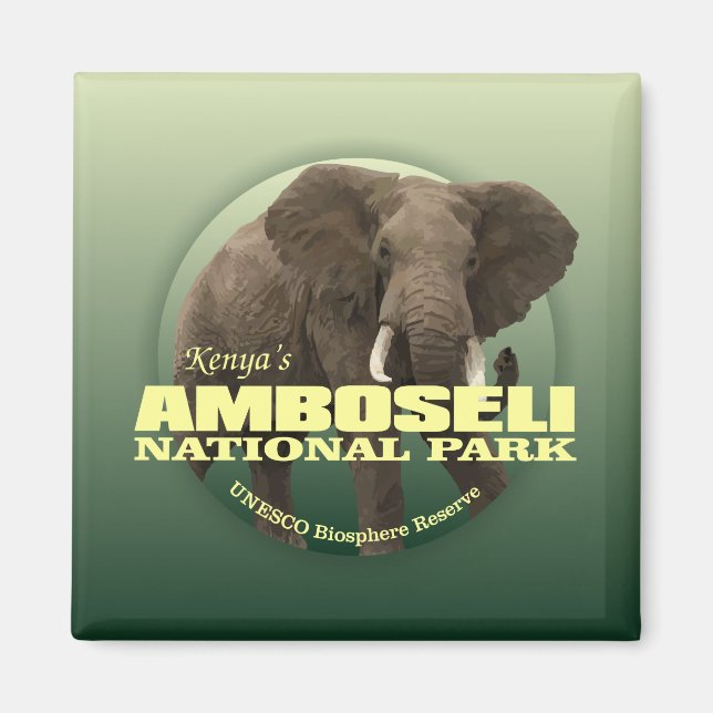 Imã Amboseli NP (Elefante Africano) WT (Frente)