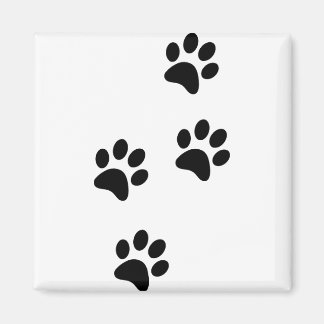 Imã Ame As Minhas Patas