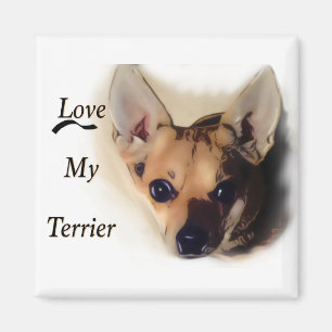Imã Ame meu ímã do terrier