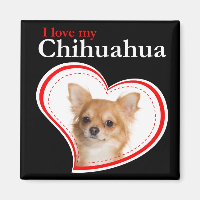 Imã Ame Meu Magnet Chihuahua (Frente)