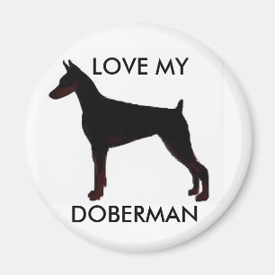 IMÃ AME O MEU, DOBERMAN