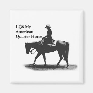Imã Ame o meu ímã Quarter Horse