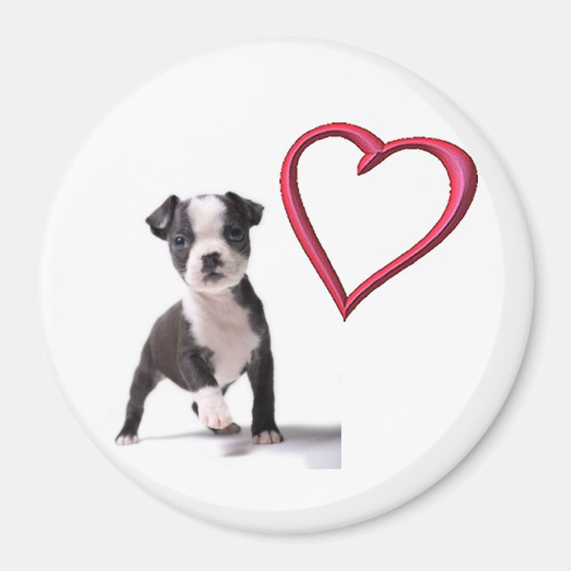 Imã Ame O Meu Magnetinho De Cachorro De Boston (Frente)