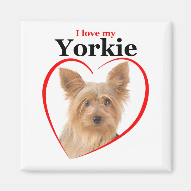 Imã Ame o meu Yorkie Magnet (Frente)