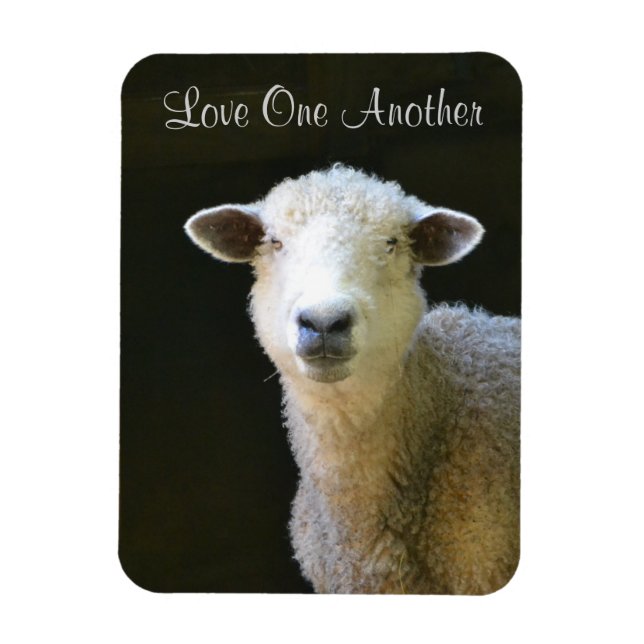 Ímã Ame-Se Outra Ovelha (Vertical)