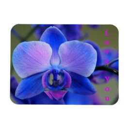 Ímã Ame-te Magneta Orquídea Azul e Rosa Suave