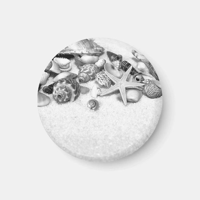 Imã Amêijoas e Amêijoas (Frente)