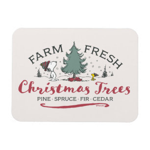Ímã Amendoins   Árvores de Natal frescas Fazendas