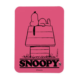 Ímã Amendoins   Esnopiar O Segredo Da Vida