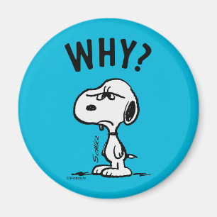 Imã Amendoins   Snoopy Wonders Why?